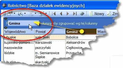 GLW-rys002